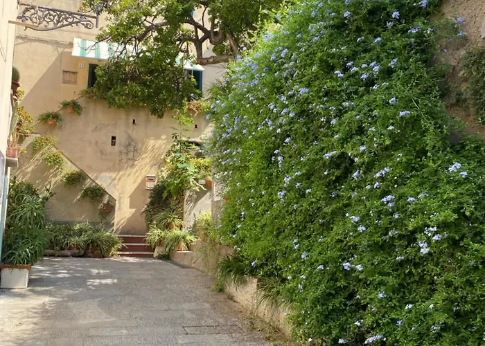 Appartement Casa Cotone 1